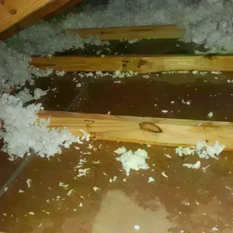 Attic Water Damage in Wamego, KS