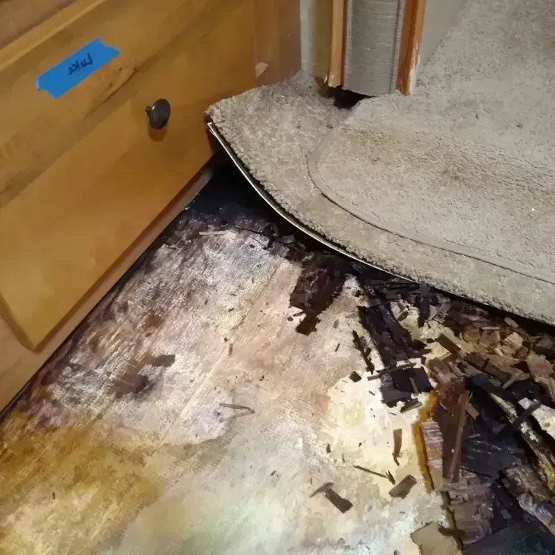 Wood Floor Water Damage in Wamego, KS